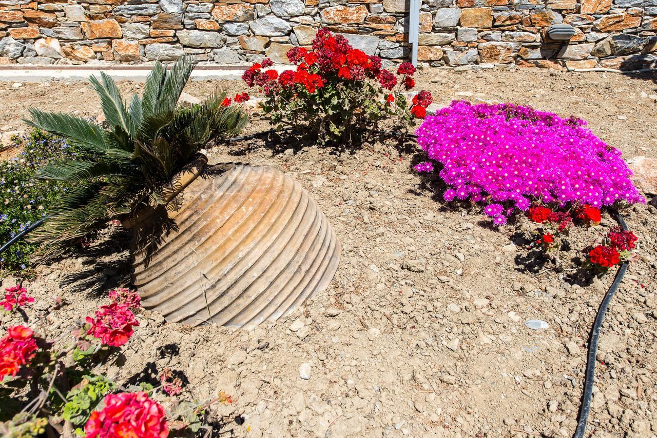 Thomas Villas On The Beach Katapola Exterior foto